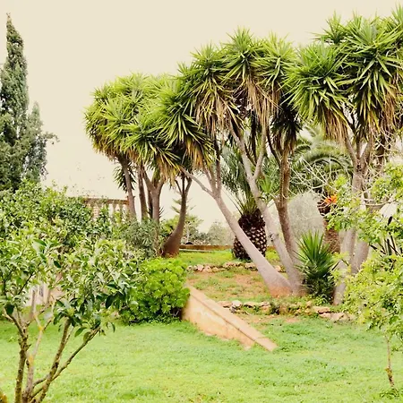 Randa, Llucmayor, Bis 3 Sz, Pool, Garten Llucmajor (Mallorca)