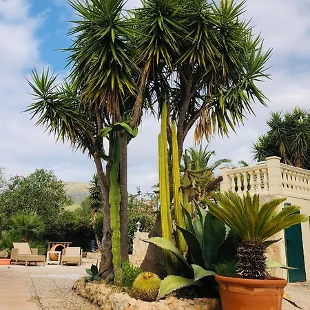 Randa, Llucmayor, Bis 3 Sz, Pool, Garten Сasa de vacaciones Llucmajor (Mallorca)