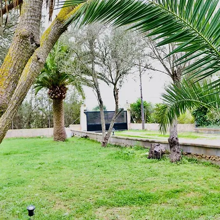Randa, Llucmayor, Bis 3 Sz, Pool, Garten Сasa de vacaciones Llucmajor (Mallorca)